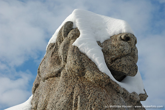 Verschneiter Kopf eines steinernen Löwen auf dem Karlsplatz in Stuttgart, Baden-Württemberg, Deutschland - Snow covered lion made of stone, Karlsplatz, Stuttgart, Baden-Wuerttemberg, Germany, Europe