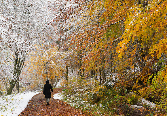 Jahreszeiten Herbst und Winter im Dialog, Schaichtal, Naturpark Schönbuch
