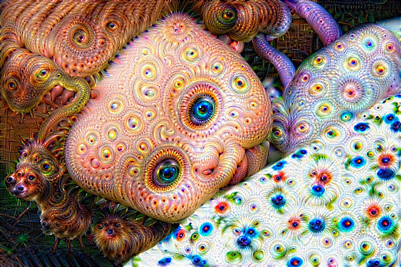 Google Deep Dream Art