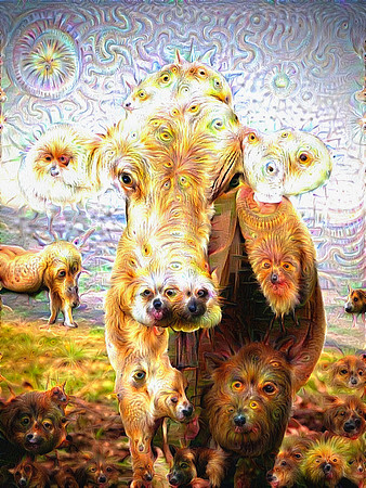 Google Deep Dream Art