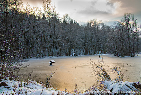 Schlüsselsee mit Eisdecke, Schaichtal, Naturpark Schönbuch, Baden-Württemberg, Deutschland
