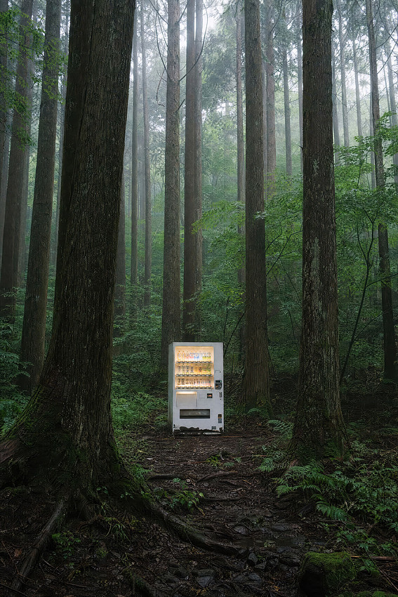 Vending Machine in Japanese Forest