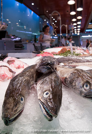 Markt Mercat de la  Concepcio, Barcelona, Katalonien, Spanien