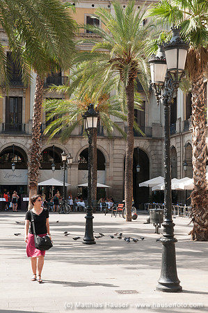 Placa Reial