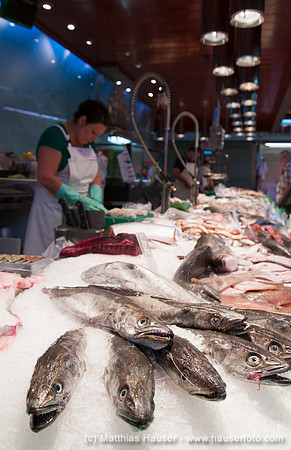 Mercat de la Concepcio