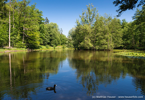 Schlüsselsee, Schaichtal, Naturpark Schönbuch, Baden-Württemberg, Deutschland