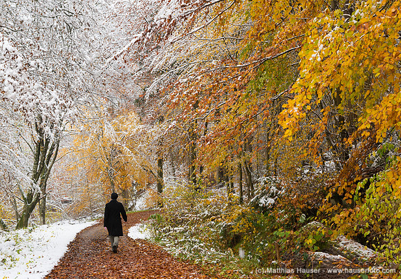 Jahreszeiten Herbst und Winter im Dialog, Schaichtal, Naturpark Schönbuch