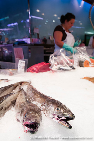 Fische im Markt Mercat de la Concepcio, Barcelona, Spanien