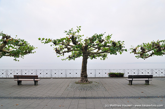 Menschenleere Seepromenade am frühen Morgen, Meersburg am Bodensee, Baden-Württemberg, Deutschland, Europa - Deserted promenade in the early morning, Meersburg on Lake Constance, Baden-Wuerttemberg, G