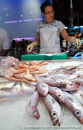 Markt Mercat de la  Concepcio, Barcelona, Katalonien, Spanien