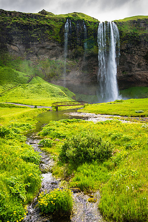Waterfall Seljalandsfoss in fresh green landscape in South Iceland
