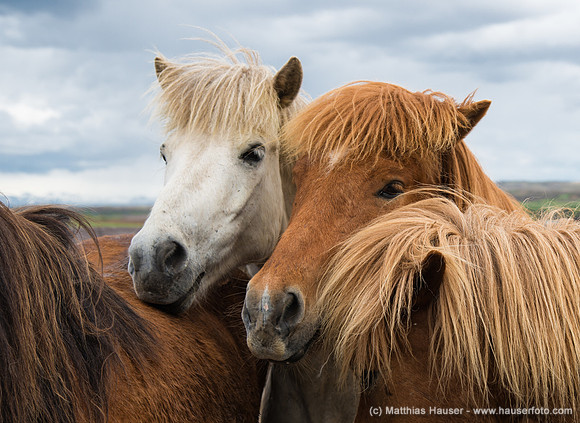 Iceland