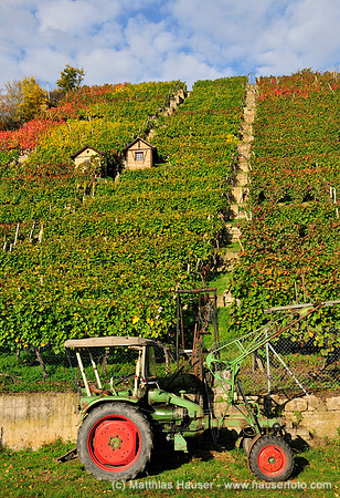 Traktor vor Weinbergen in Stuttgart, Baden-Württemberg, Deutschland, Europa - Tractor in front of vineyard in Stuttgart, Baden-Wuerttemberg, Germany, Europe