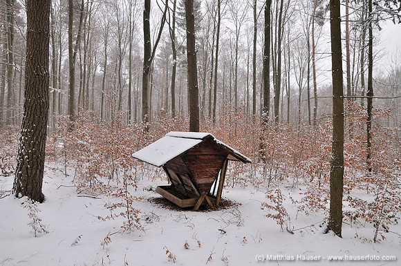Futterkrippe im winterlichen Wald, Naturpark Schönbuch, Baden-Württemberg, Deutschland, Europa - Feed box in a winterly forest, Natural Park Schoenbuch, Baden-Wuerttemberg, Germany, Europe