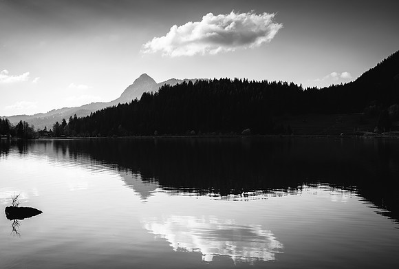 Tranquil waters - peaceful water reflection black and white