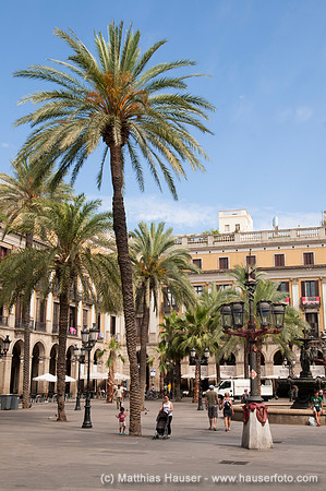 Placa Reial