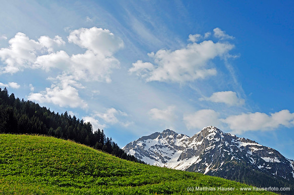 Berglandschaft in der Nähe von Mittelberg, Kleinwalsertal, Vorarlberg, Österreich, Europa - Mountain landscape near the Mittelberg Mountain in the Kleinwalsertal Valley, Vorarlberg Mountain Range, Aus