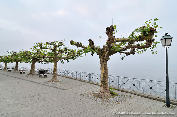 Menschenleere Seepromenade am frühen Morgen, Meersburg am Bodensee, Baden-Württemberg, Deutschland, Europa - Deserted promenade in the early morning, Meersburg on Lake Constance, Baden-Wuerttemberg, G