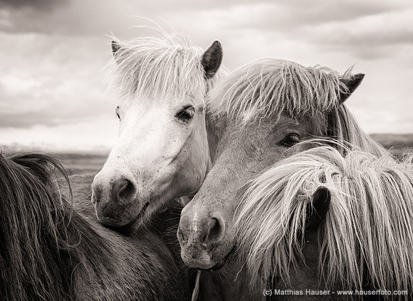 Iceland