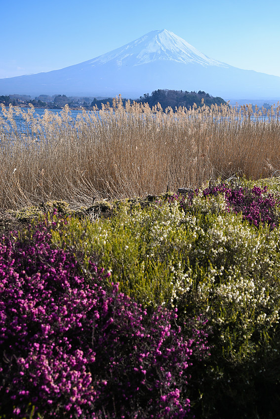Mount Fuji Japan Color Photography