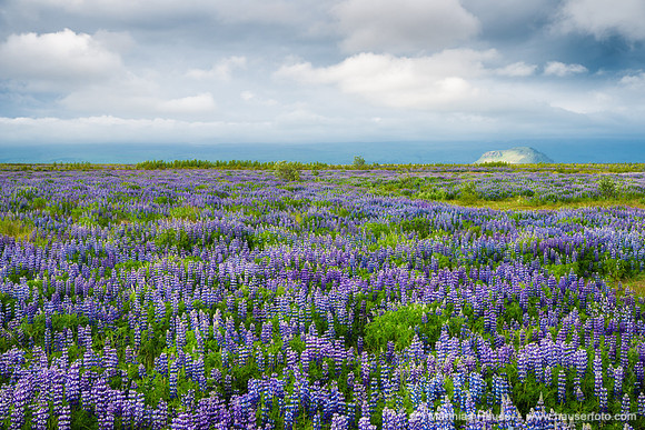Iceland