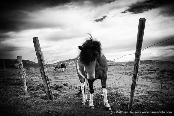 Iceland