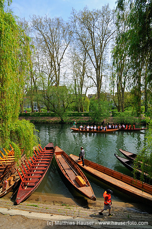 Stocherkähne am Neckar, Tübingen, Baden-Württemberg, Deutschland, Europa - Punts on the river Neckar, Tuebingen, Baden-Wuerttemberg, Germany, Europe